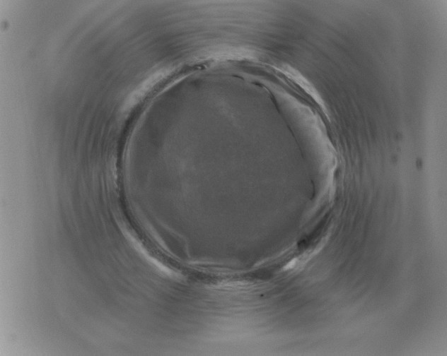 X0000076080581200610152255