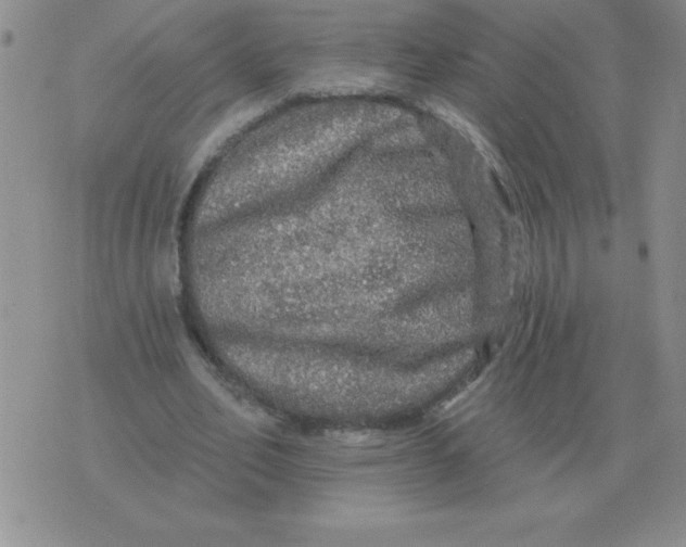 X0000076080582200610152255