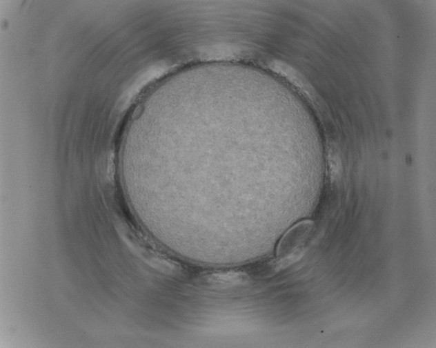 X0000076080583200610152255