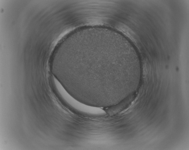 X0000076080584200610152255