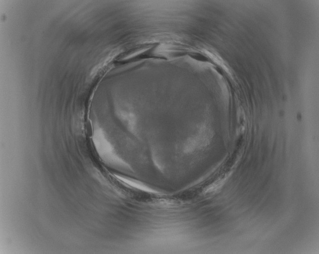 X0000076080585200610152255