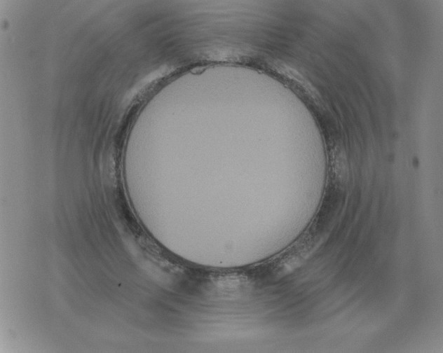 X0000076080587200610152255