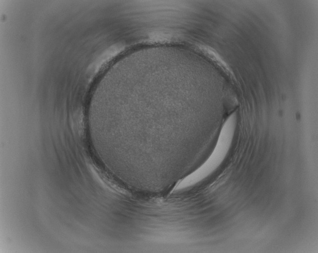 X0000076080588200610152255