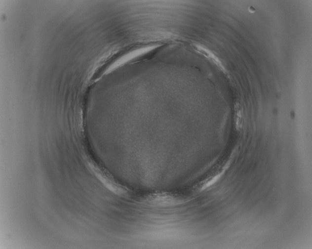 X0000076080589200610152255