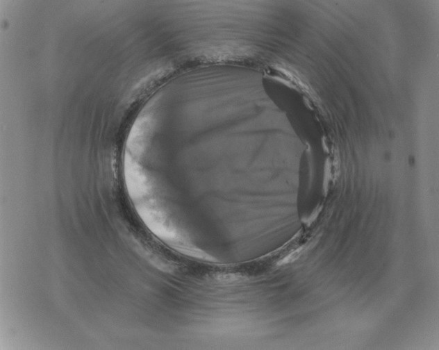 X0000076080590200610152255