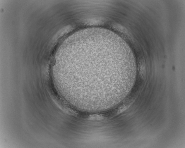 X0000076080591200610152255