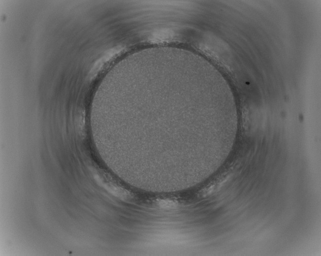 X0000076080592200610152255