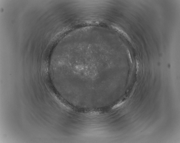 X0000076080593200610152255