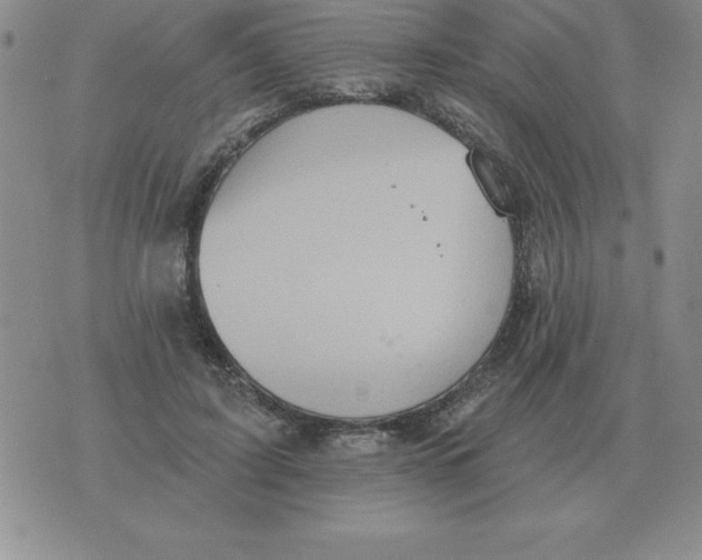 X0000076080595200610152255