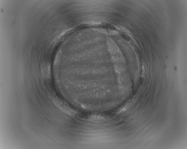 X0000076080596200610152254