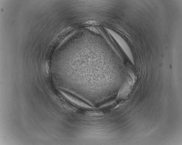 X0000076080597200610152254