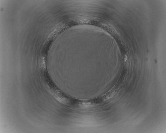 X0000076080598200610152254