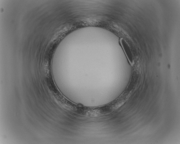 X0000076080599200610152254