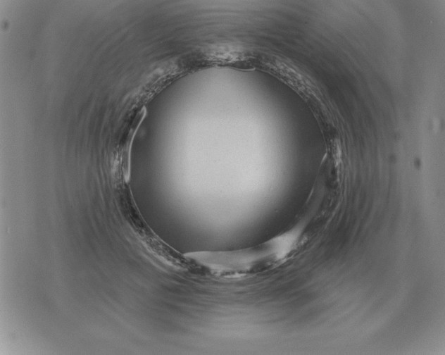 X0000076080601200610152254