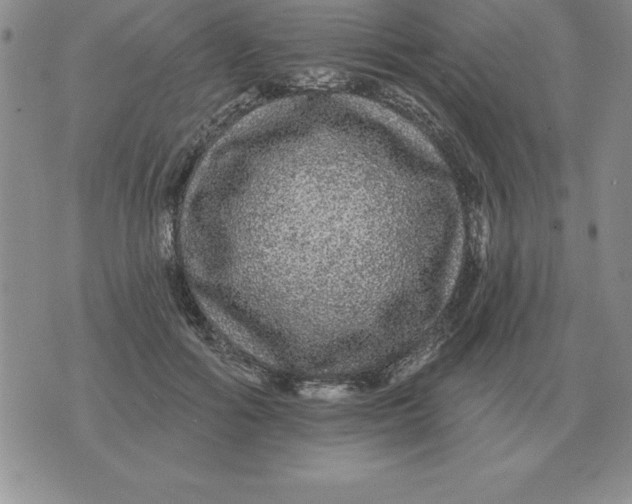 X0000076080602200610152254