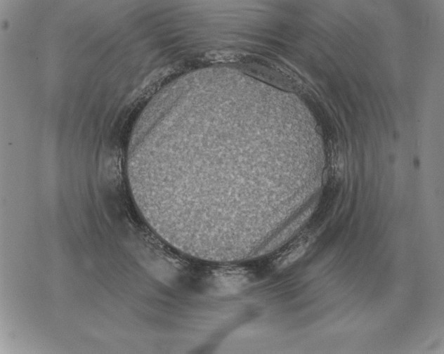 X0000076080603200610152254