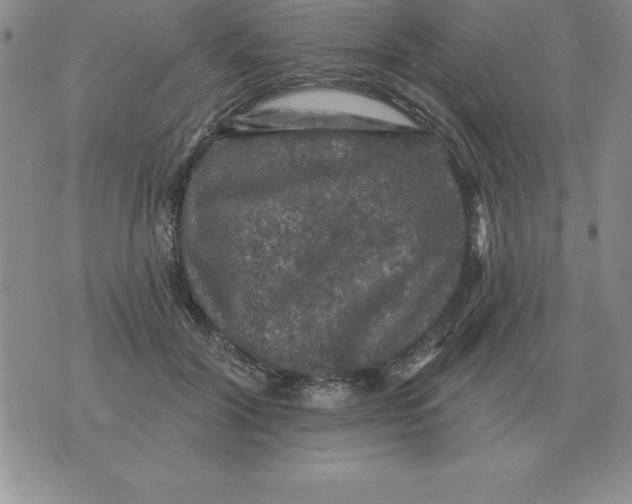 X0000076080604200610152254