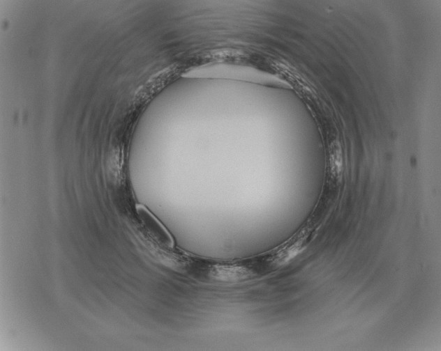 X0000076080605200610152254