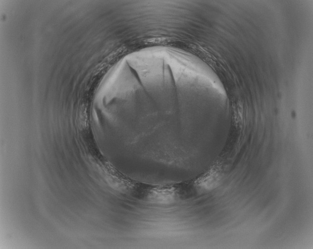 X0000076080606200610152254