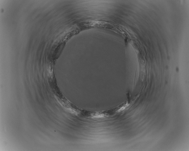 X0000076080607200610152254