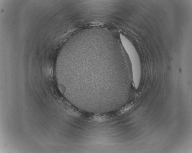 X0000076080608200610152254