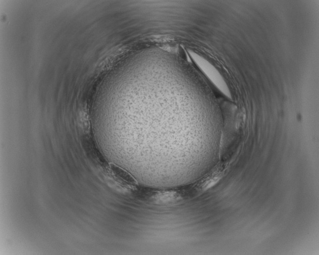 X0000076080609200610152254