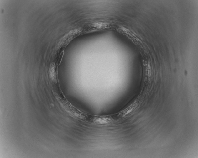 X0000076080611200610152254