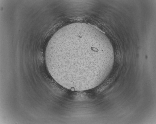 X0000076080612200610152254