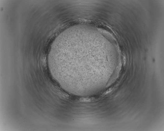 X0000076080613200610152254