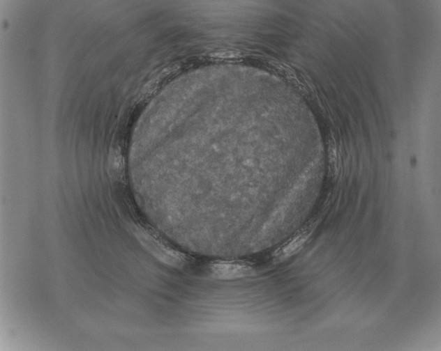 X0000076080614200610152254