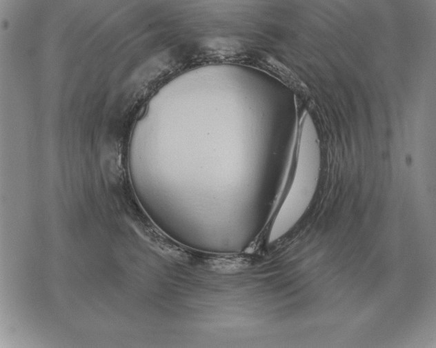 X0000076080615200610152254