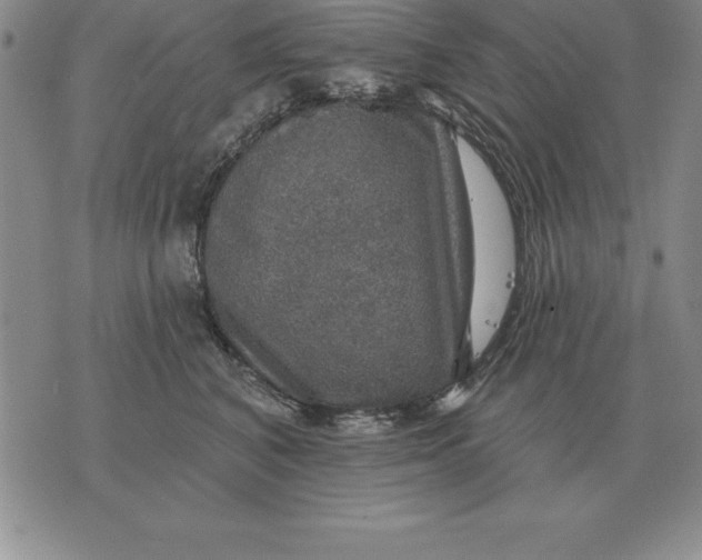 X0000076080616200610152254