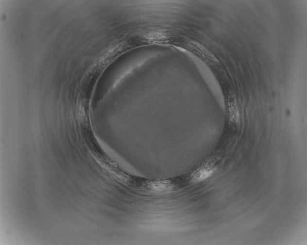 X0000076080618200610152254