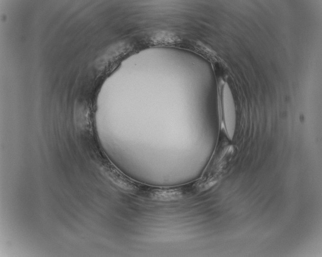 X0000076080619200610152254