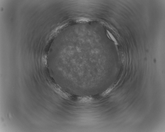 X0000076080621200610152254