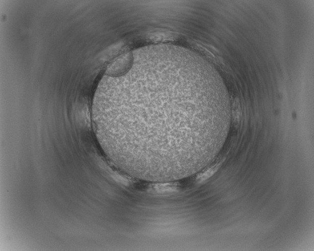 X0000076080622200610152254