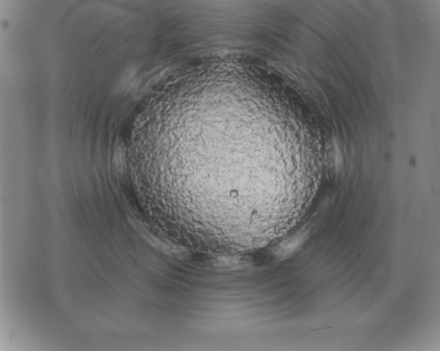 X0000076080623200610152254