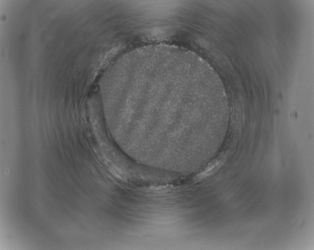 X0000076080624200610152254