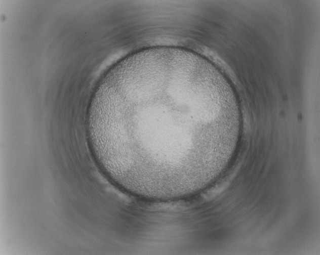 X0000076080625200610152253