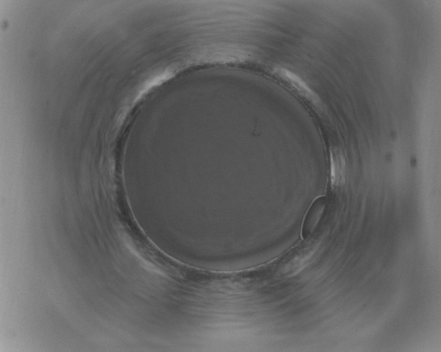 X0000076080627200610152253