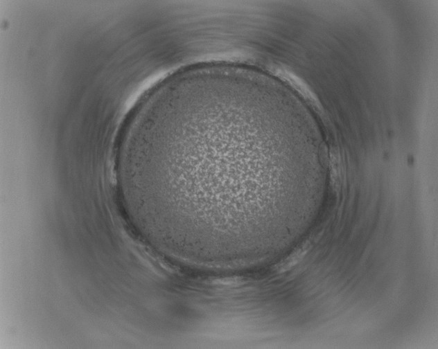 X0000076080628200610152253