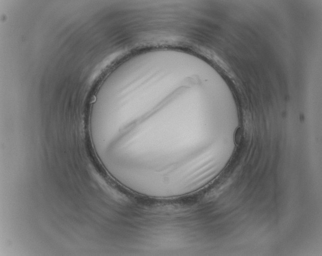 X0000076080629200610152253