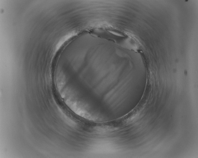 X0000076080630200610152253