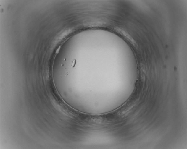 X0000076080631200610152253