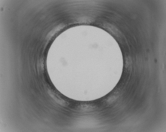 X0000076080632200610152253