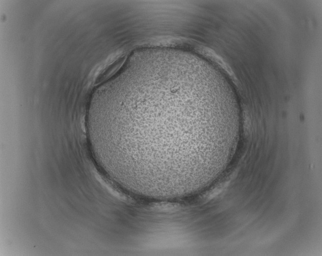 X0000076080633200610152253