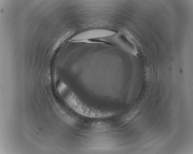 X0000076080634200610152253