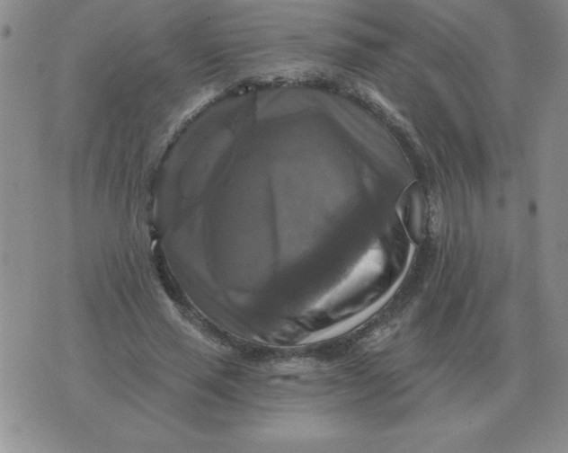 X0000076080637200610152253