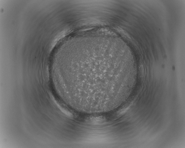 X0000076080638200610152253