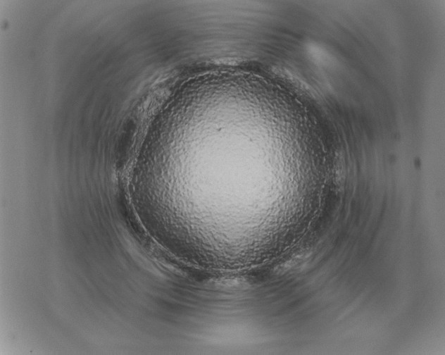 X0000076080639200610152253